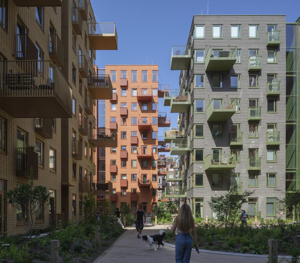 Kruidentuin - Westerpark West